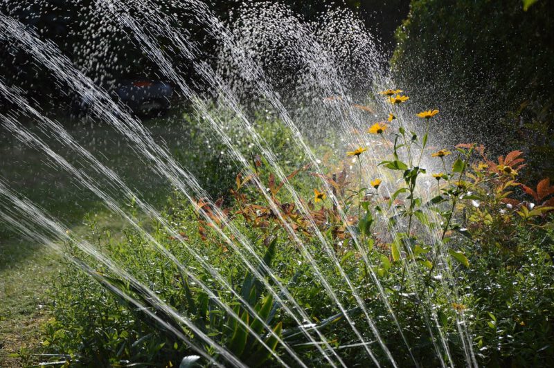 Automatyczne nawadnianie ogrodu – wady i zalety